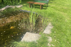 Table, Chair and Pond